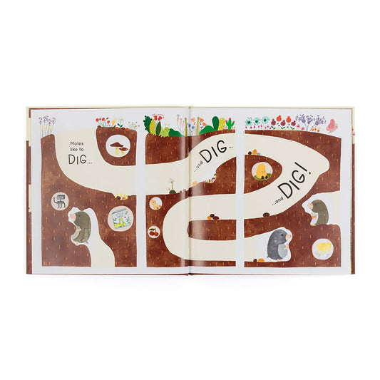 Muswell Mole and the Buried Treasure