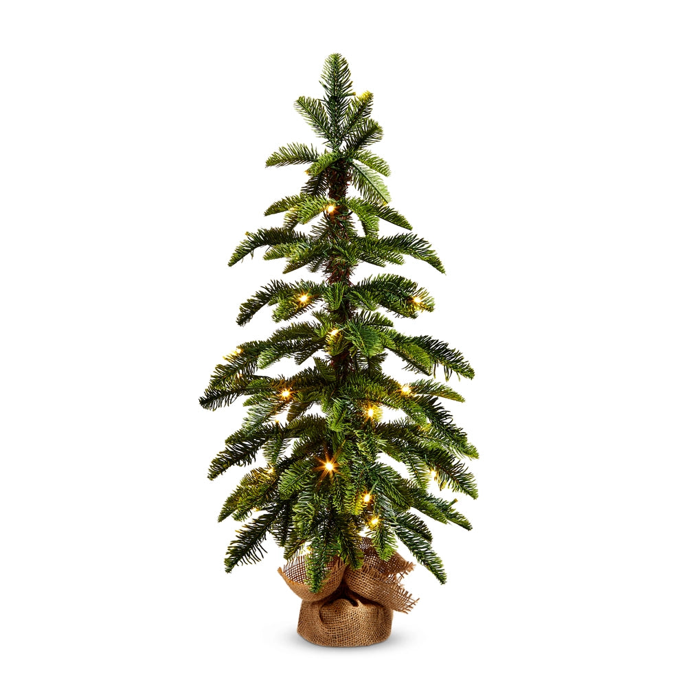 Lighted Pine Tree