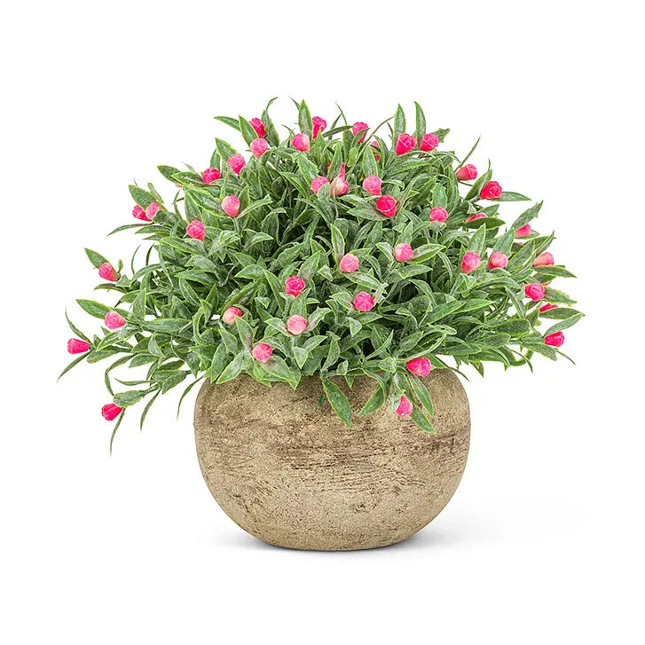 Pink Flowering Pot - Small