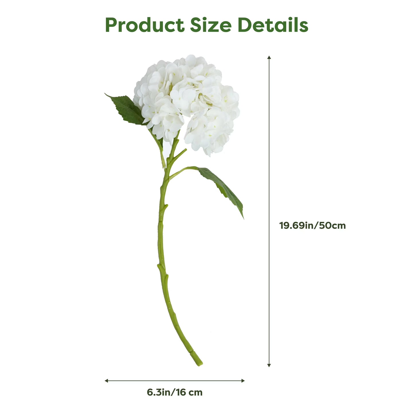 White Hydrangea Stem