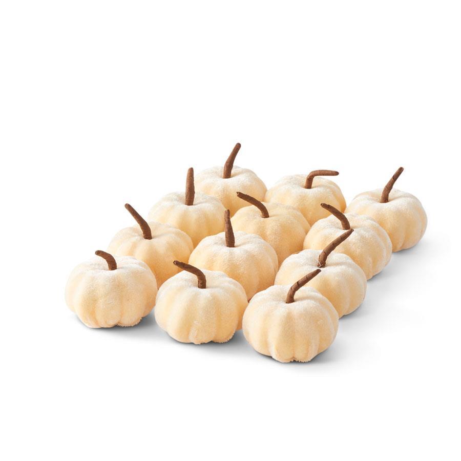 Cream Velvet Knit Pumpkin