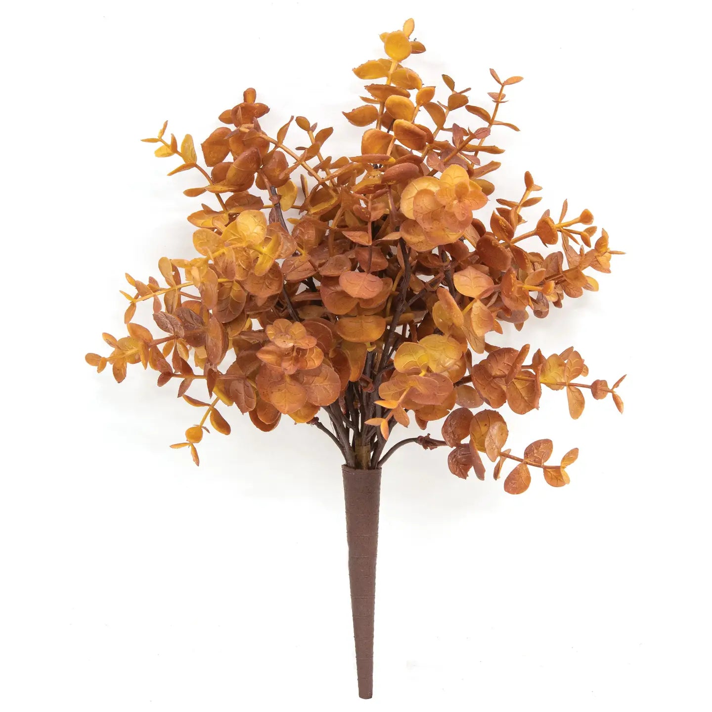 Mustard Baby Eucalyptus Bush