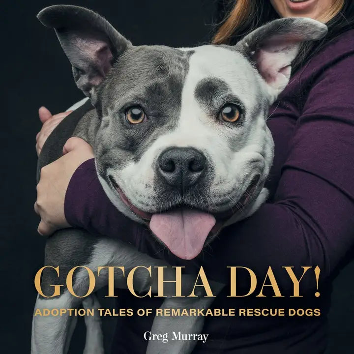 Gotcha Day - Book