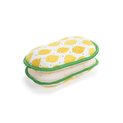 Absorbent Sponges