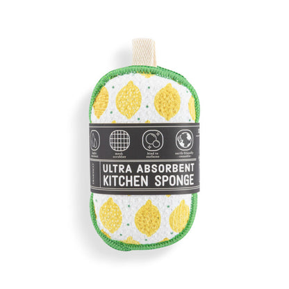 Absorbent Sponges