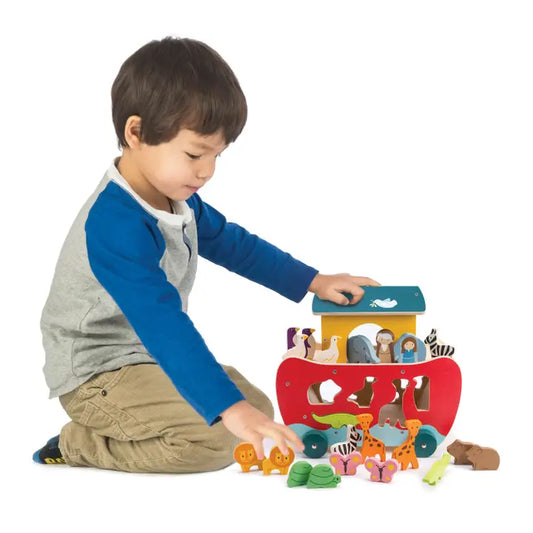Noah's Ark Shape Sorter