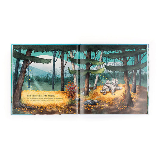 Sacha and the Most Wonderful Things