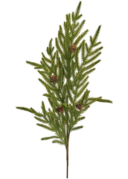 Norfolk Pine Greenery