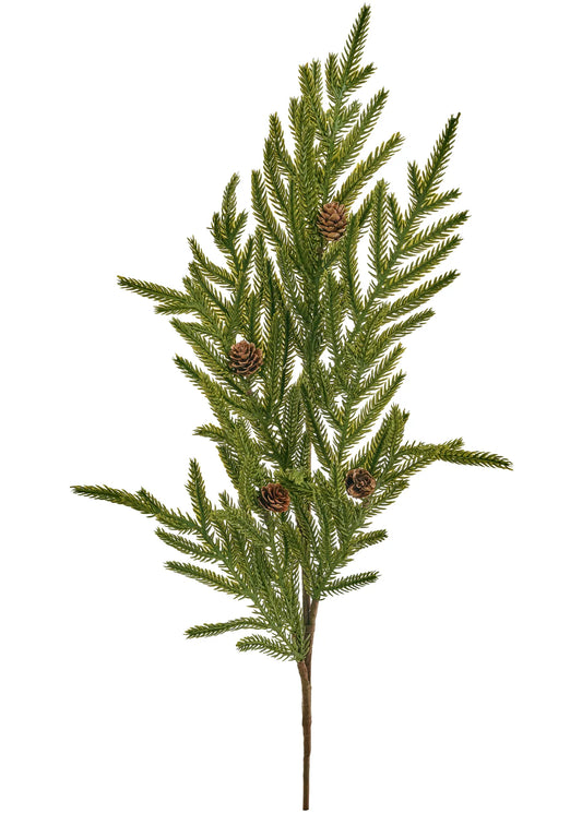 Norfolk Pine Greenery