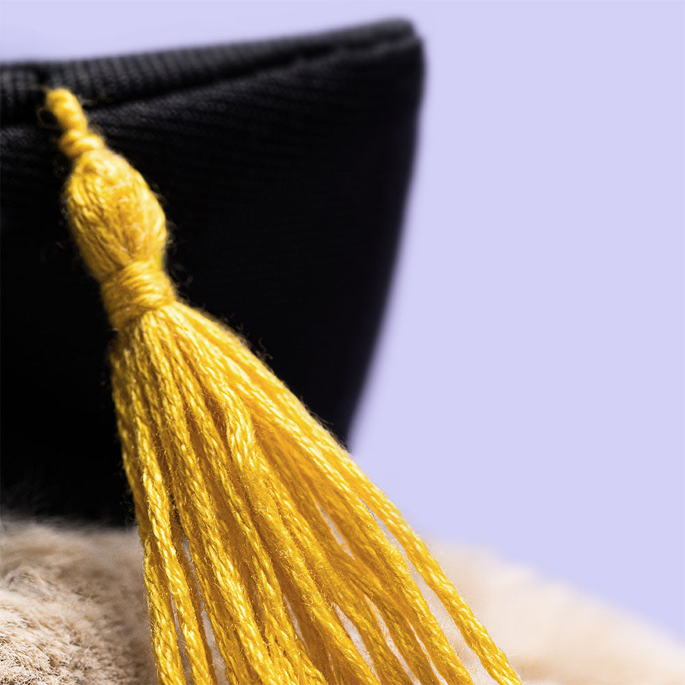 Bashful Bunny Graduate - Jellycat