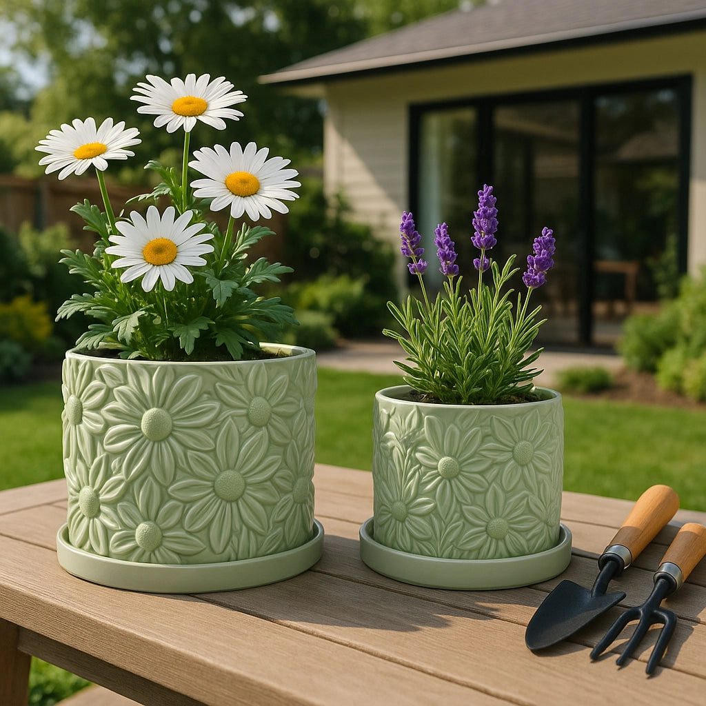 Ceramic Daisy Planter