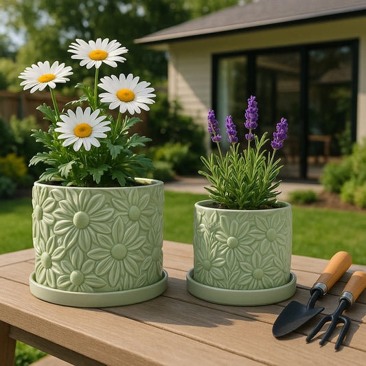 Ceramic Daisy Planter