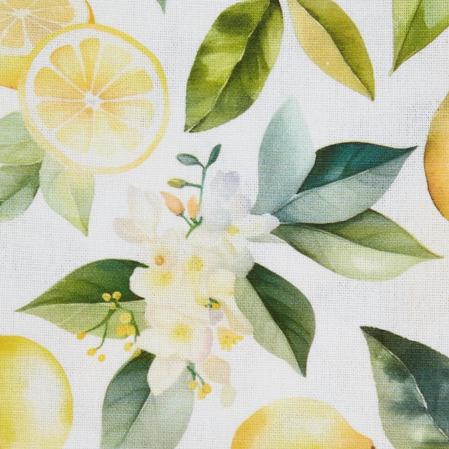 Lemon Grove Dishtowel Set