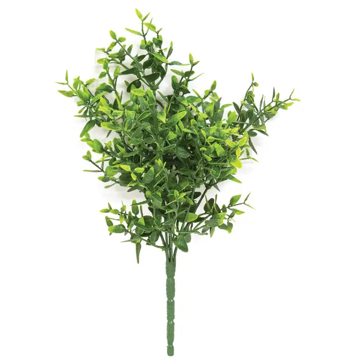 Lush Green Lemon Beauty - 11"