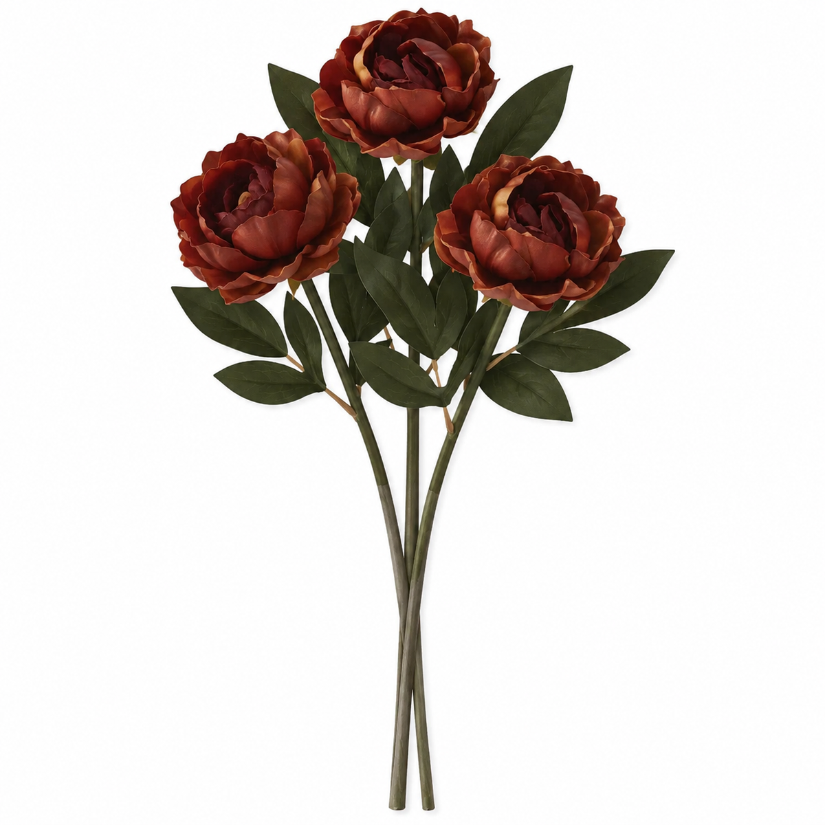 Burgundy/Yellow Peony Bundle