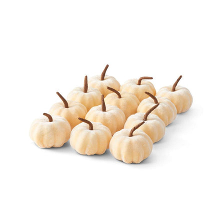 Cream Velvet Knit Pumpkin