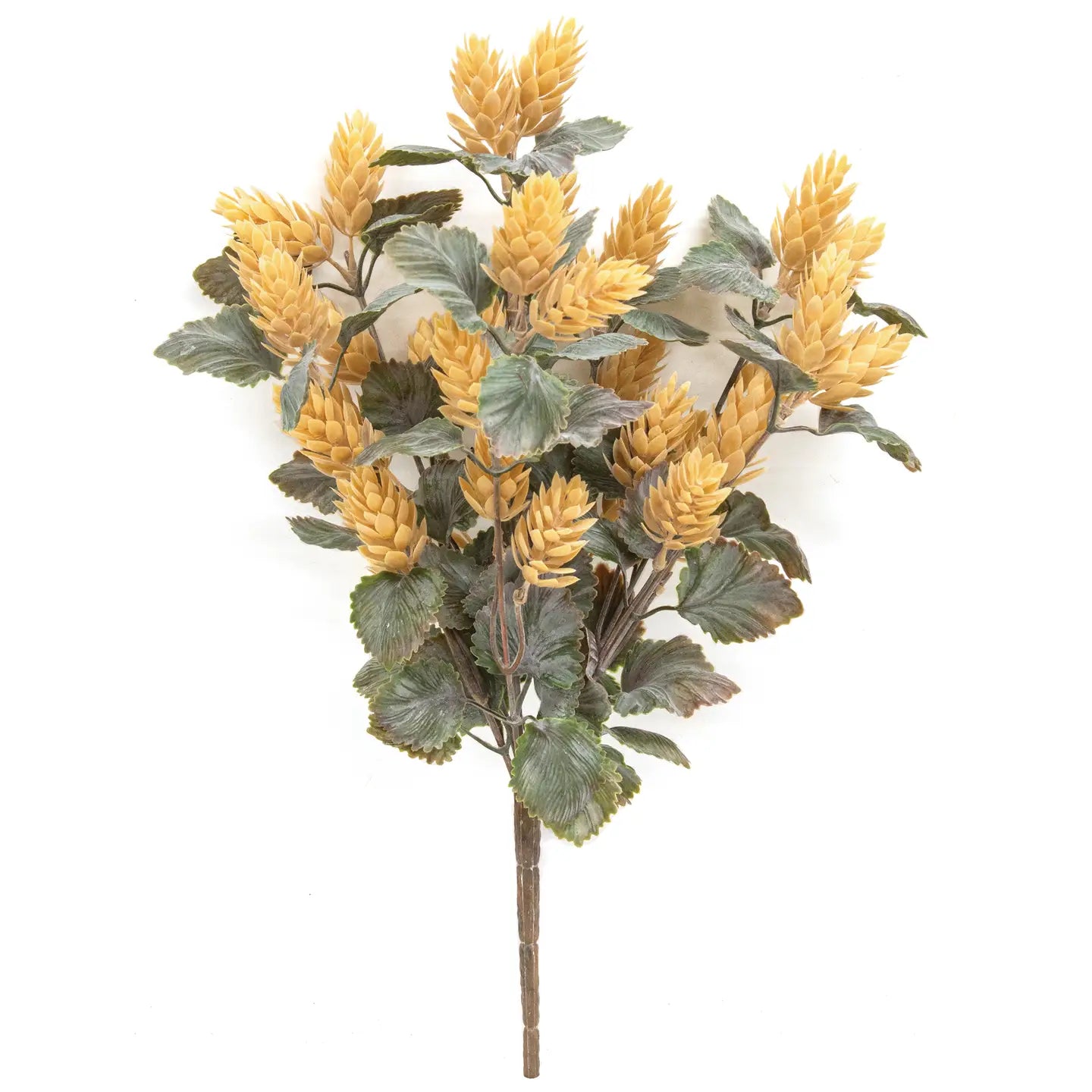 Dusty Beige Hops Bush