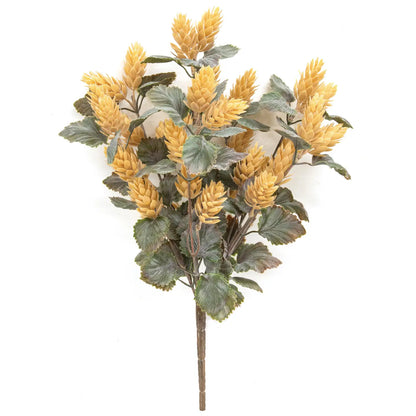 Dusty Beige Hops Bush