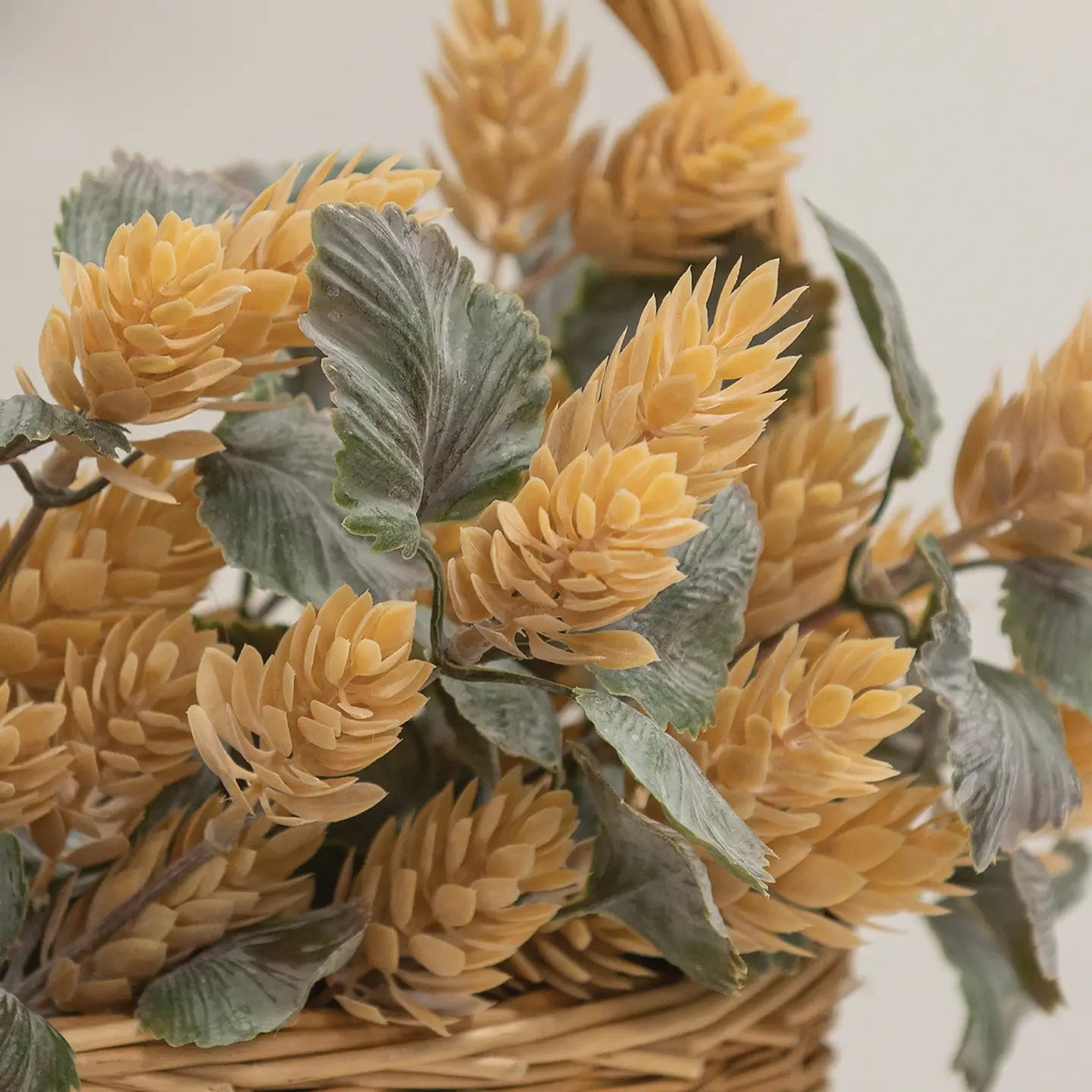 Dusty Beige Hops Bush