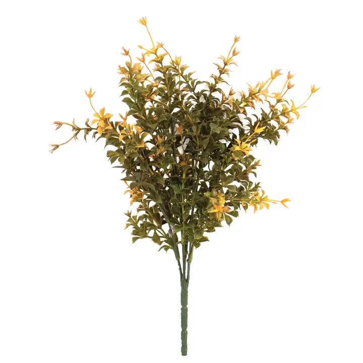 Golden Trumpet Spray