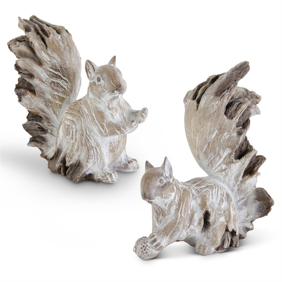 White Washed Squirrels