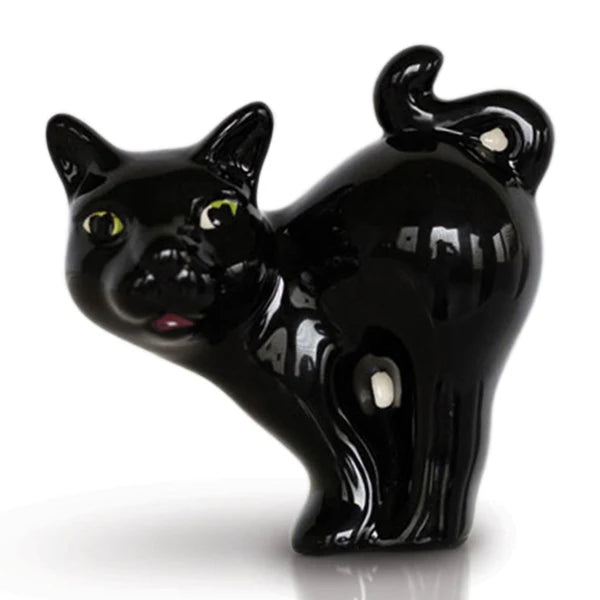 Scaredy Cat (Black Cat)